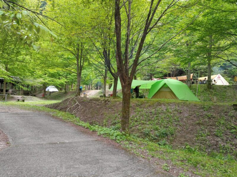 山王谷キャンプ場(たんぽり荘)-テントサイト