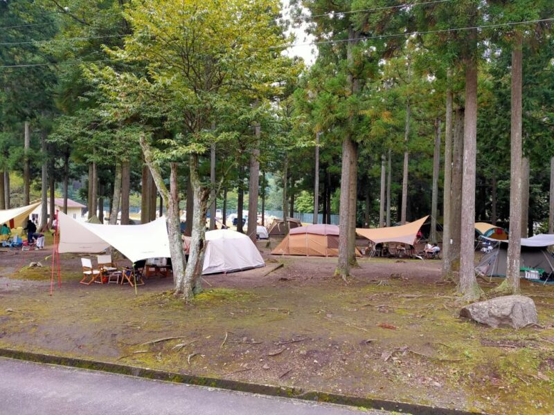 くるみの里キャンプ場-林間サイト
