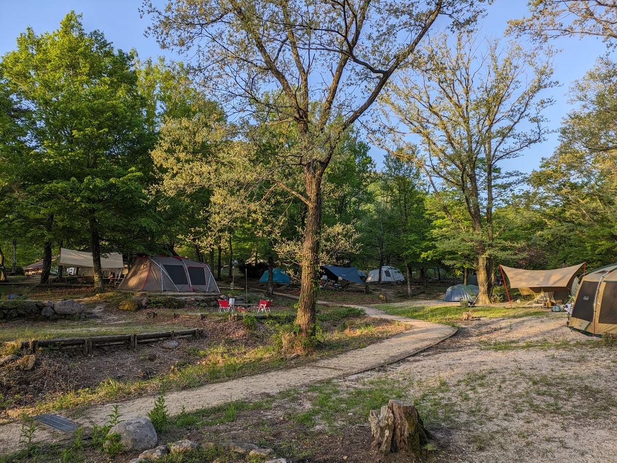 6320_大山隠岐国立公園の【一向平(いっこうがなる)キャンプ場】｜アウトドアとリラックスの両方を楽しもう