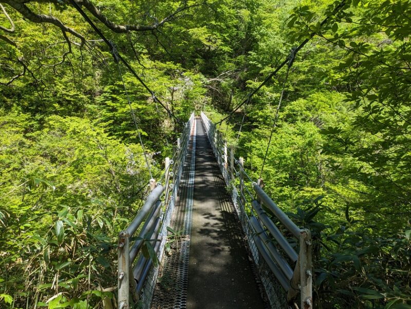 一向平キャンプ場から大山滝までへの遊歩道にある吊り橋2