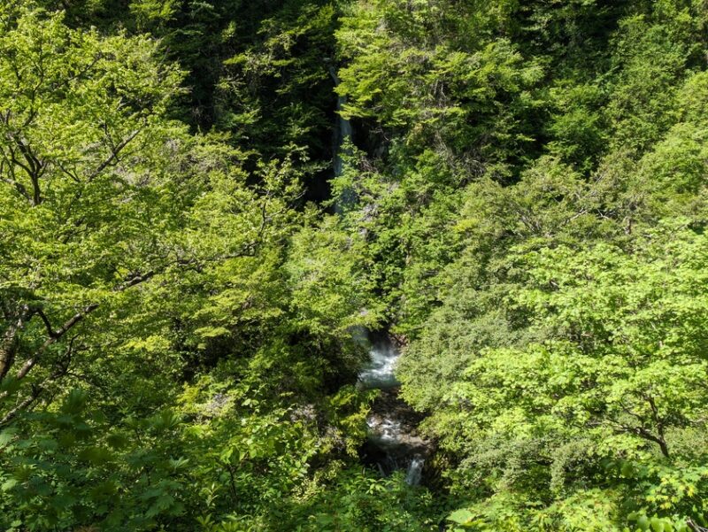 大山滝のアップ写真