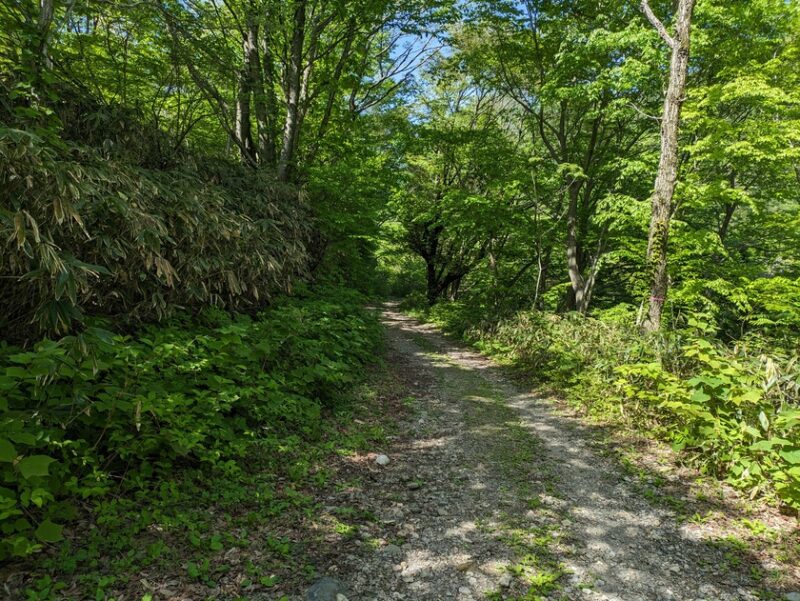 一向平キャンプ場から大山滝までへの遊歩道1