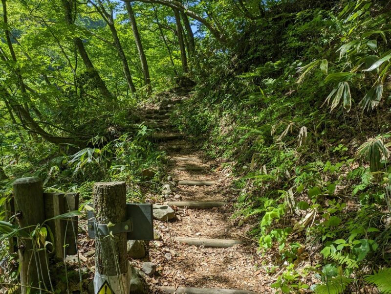 一向平キャンプ場から大山滝までへの遊歩道2